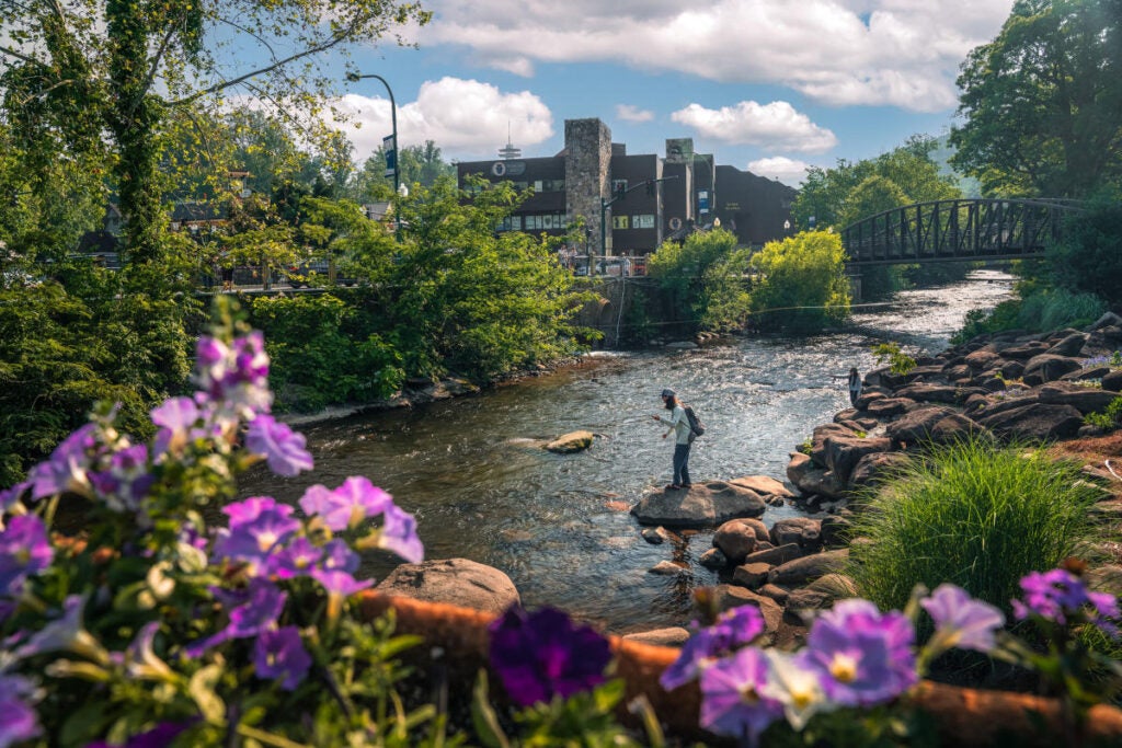 Great Smoky Mountains