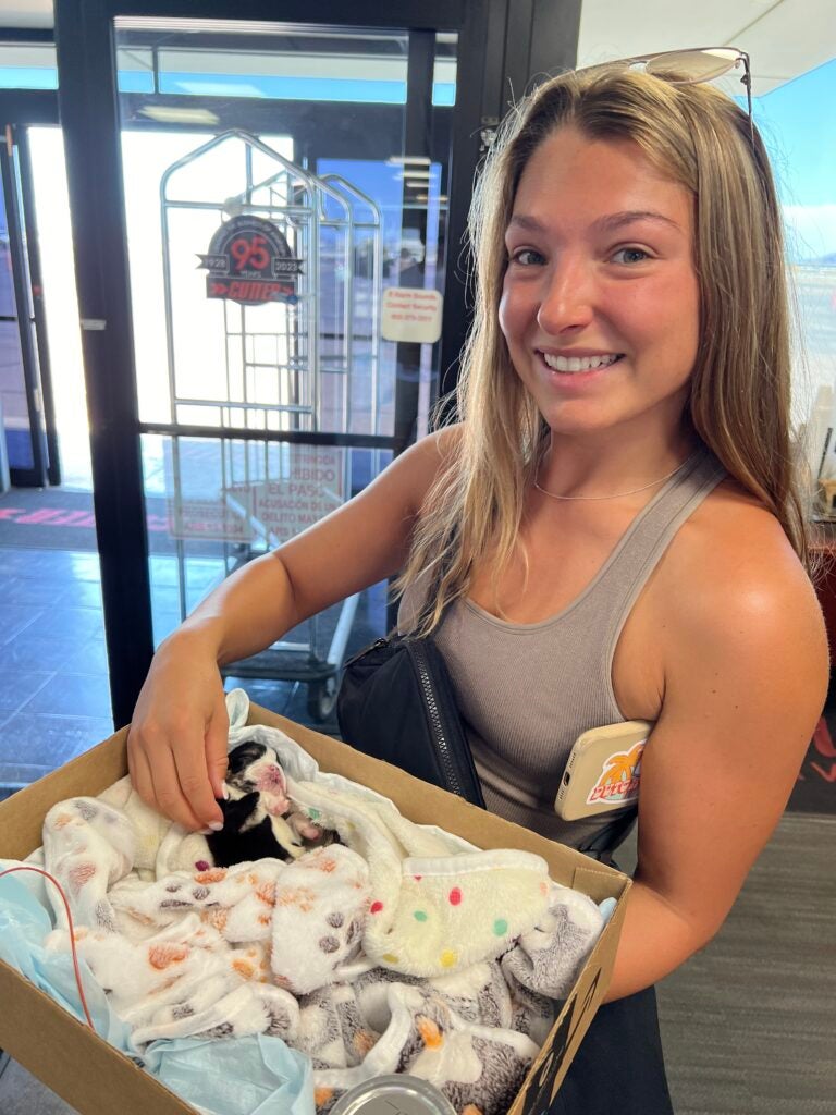 Girl carrying a box with a puppy